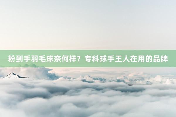 粉到手羽毛球奈何样？专科球手王人在用的品牌