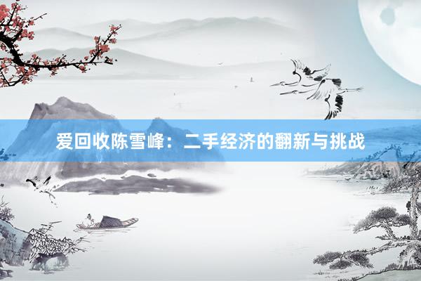 爱回收陈雪峰：二手经济的翻新与挑战